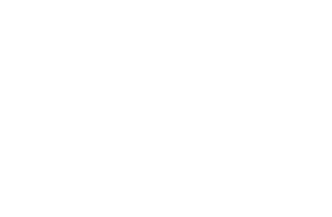 Microsoft Partner Badge and Logo